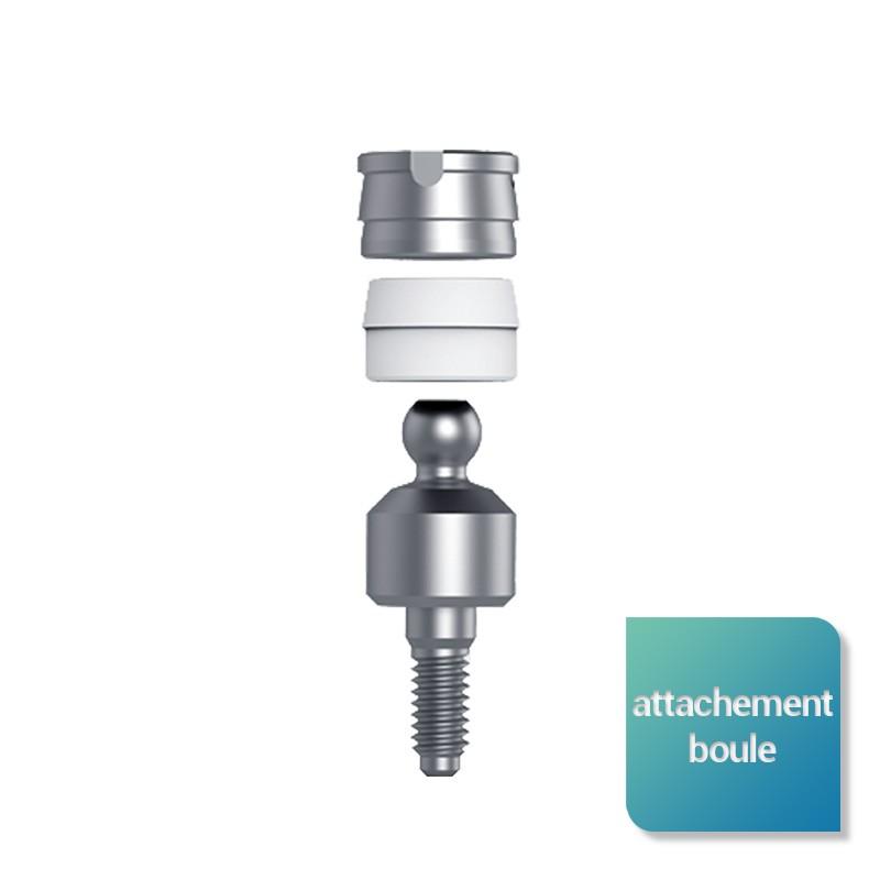 Attachement boule large (Wide) de 1 à 4 mm de hauteur gingivale (parties femelles incluses) - Safe Implant
