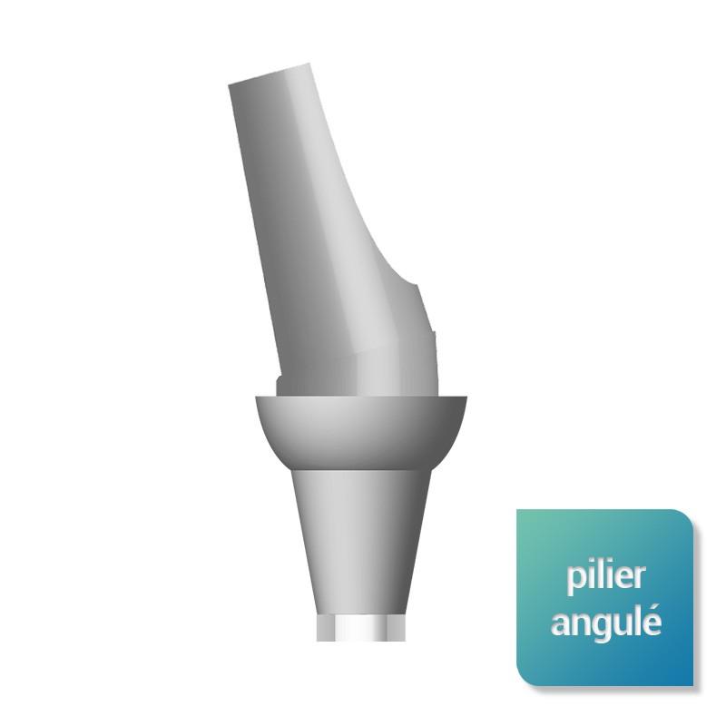 Pilier angulé générique In-Kone™ 10° - Safe Implant