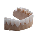 Résine de calcinage pour céramiques pressées 1kg - DENTAL CAST - ArmaResin - Résine polymère pour impression 3D - Safe Implant