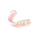 Résine 3D flexible pour prothèses partielles et complètes - FLEXIBLE DENTURE II - ArmaResin - Safe Implant