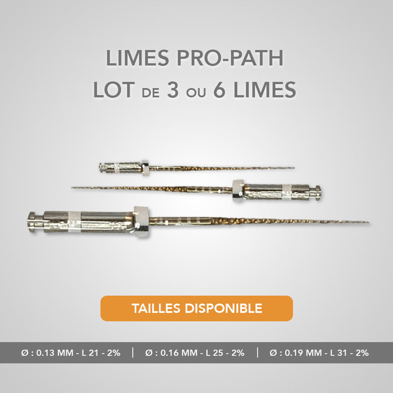 Lot de 6 limes pro-path de cathétérisme rotatives compatibles Proglider - Safe Implant