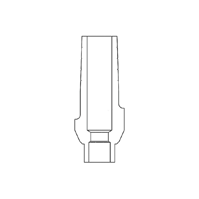 P3S Pilier anatomique anti-rotation - AB Dental - Safe Implant