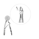 Davier prémolaires supérieures - Safe Implant