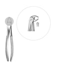 Davier enfant molaires inférieures - Safe Implant