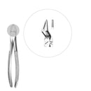 Davier enfant racines supérieures - Safe Implant