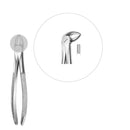 Davier enfant molaires inférieures - Safe Implant