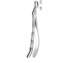 Davier troisième molaire supérieure gauche - Safe Implant