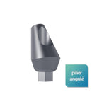 Piliers angulés 25° - Safe Implant