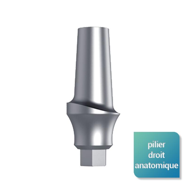 Piliers anatomiques - Safe Implant
