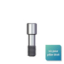 Vis définitive pour pilier droit