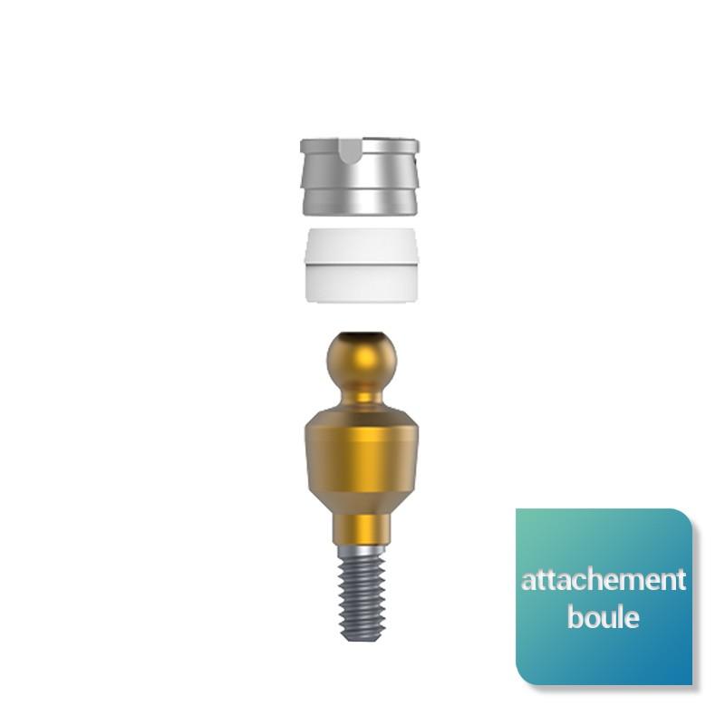 Attachement boule de 1 à 6 mm de hauteur gingivale (parties femelles incluses) - Safe Implant