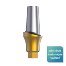 Pilier anatomique renforcé - Safe Implant