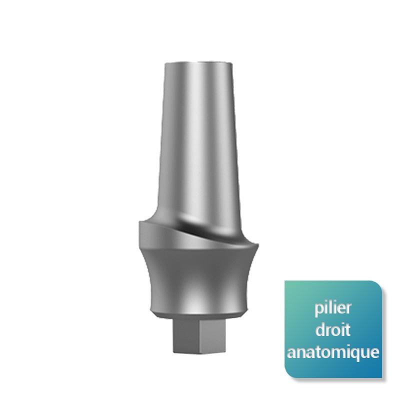Piliers anatomiques larges - Safe Implant
