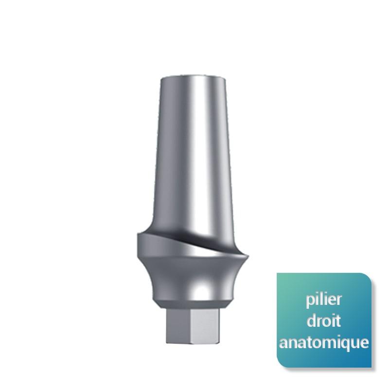 Piliers anatomiques - Safe Implant