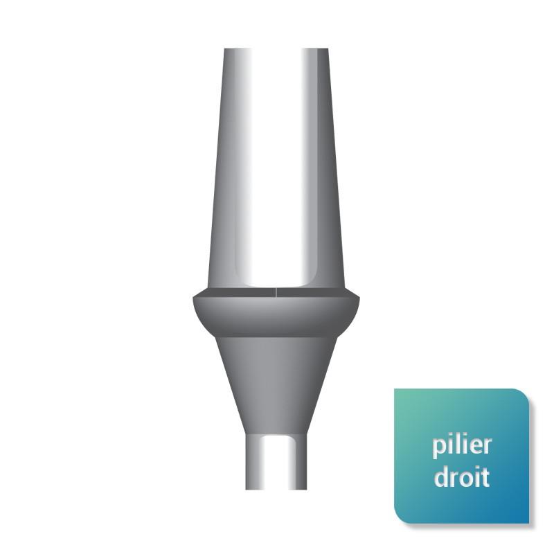 Piliers droits compatibles Bone Level™ - Safe Implant