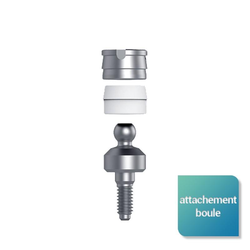 Attachement boule large (Wide) de 1 à 4 mm de hauteur gingivale (parties femelles incluses) - Safe Implant