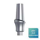 Piliers anatomiques - Safe Implant