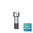 Vis définitive pour pilier angulé