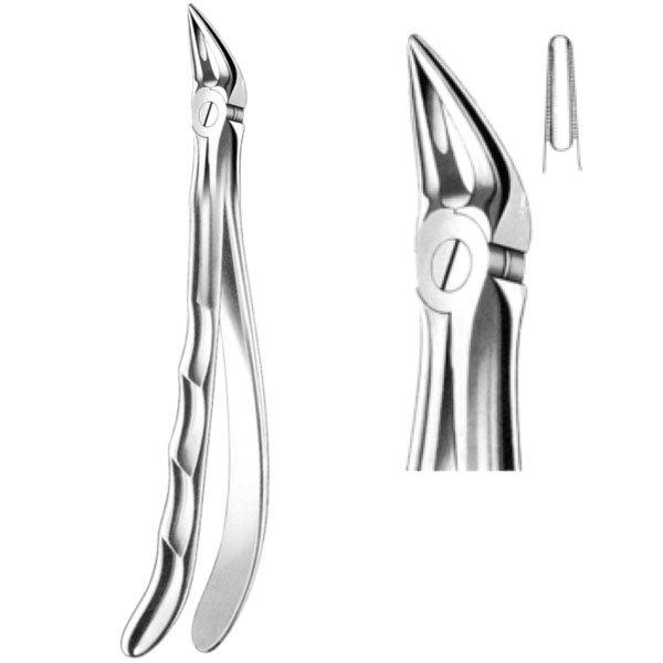 Davier Pour Racine Sup rieure Davier Pour Racine Sup rieure