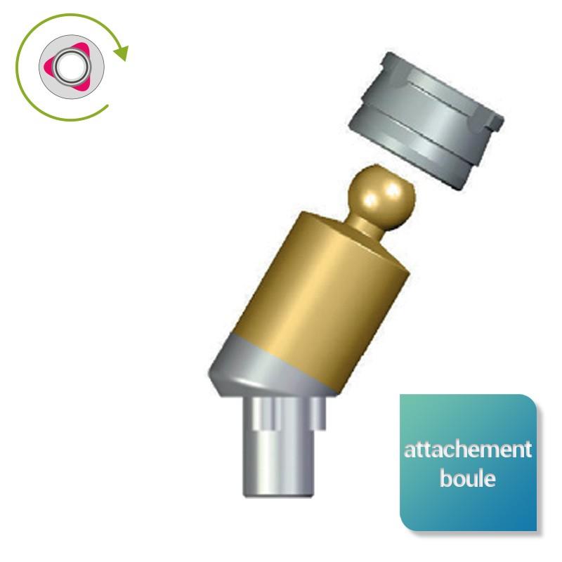 Attachement boule angulé inversé compatible NobelReplace Select™ - Safe Implant