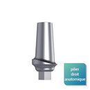 Piliers anatomiques - Safe Implant