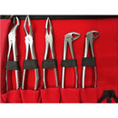 Set de 10 daviers et pochette